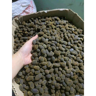 TRÁI SAY TRÂU 100 gr