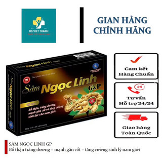 Sâm Ngọc Linh GP G&P – Hỗ trợ chức năng sinh lý nam, bổ thận tráng dương, tăng sản sinh testosterol
