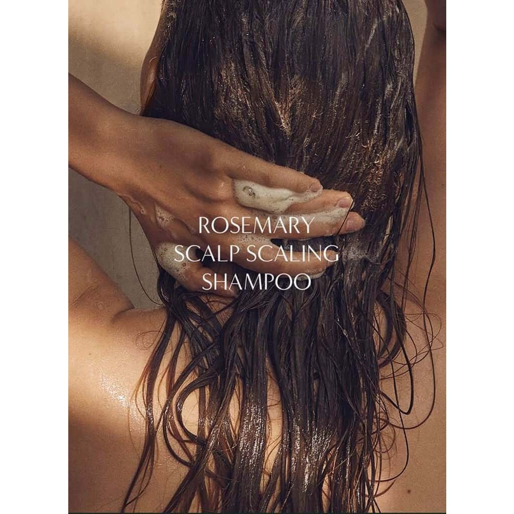 Dầu Gội Ngăn Rụng Tóc Aromatica Rosemary Scalp Scaling Shampoo 180ml