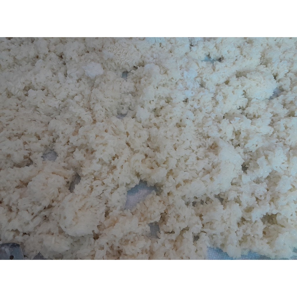 RƯỢU NẾP NHÀ NẤU THEO CÔNG THỨC LÊN MEN