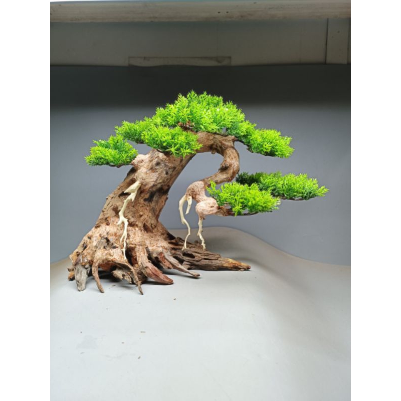 Cây Gỗ Lũa Bonsai dành cho bể cá cảnh, bể thủy sinh dành cho bể 60 cm trở lên. Mẫu dáng Huyền
