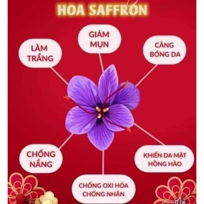 Combo 2 lọ saffron nhụy hoa nghệ tây hàng loại 1 loại 0,5 gam 1 lọ