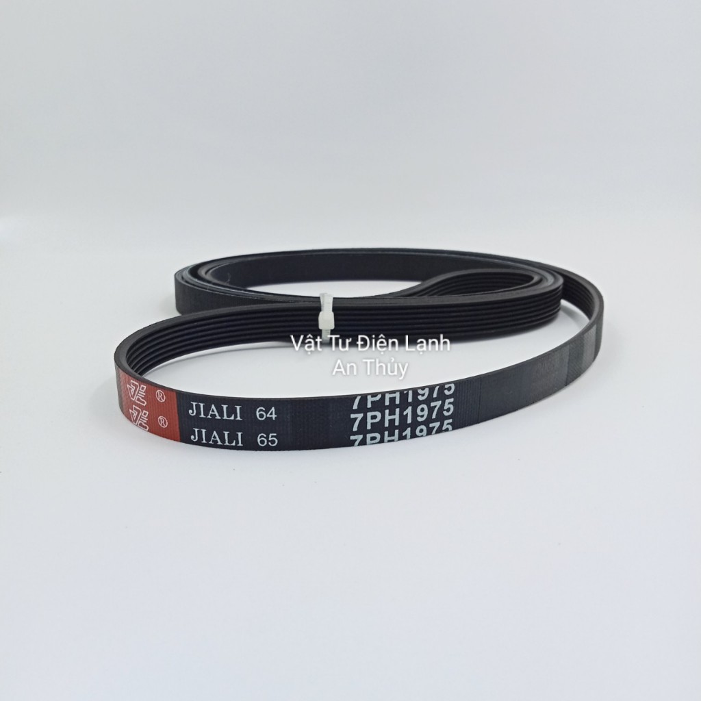 Dây curoa máy sấy Electrolux 1975