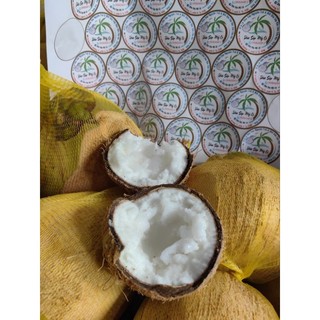 Dừa Sáp Bi đặc dày cơm 120k trái 600g-800g