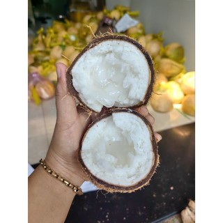 Dừa Sáp Bi đặc dày cơm 120k trái 600g-800g