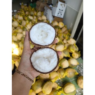 Dừa Sáp Bi đặc dày cơm 120k trái 600g-800g