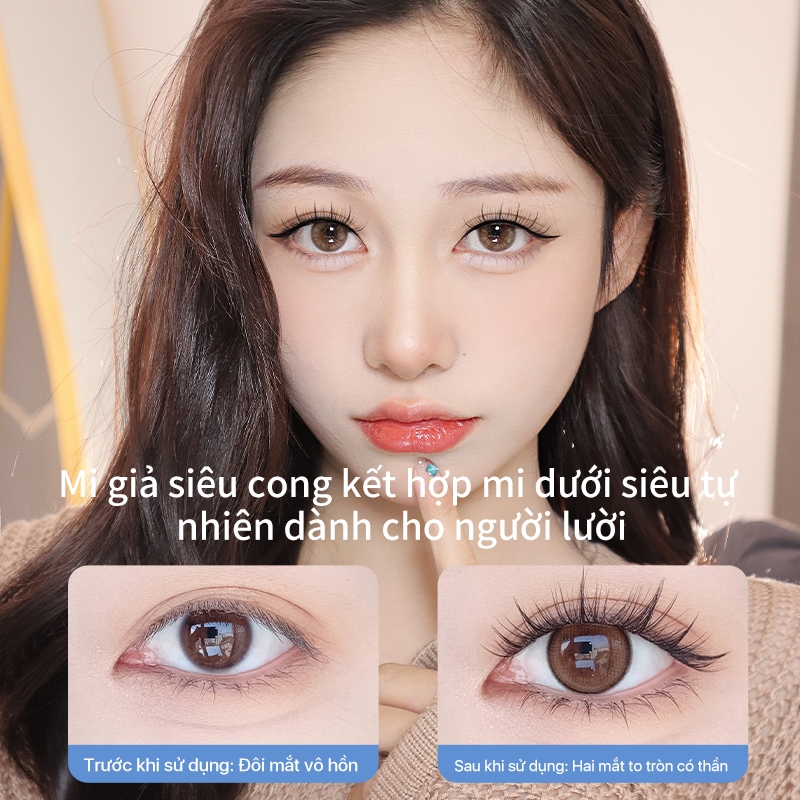 Mi cụm hoa hướng dương bản Trung Mlen Diary