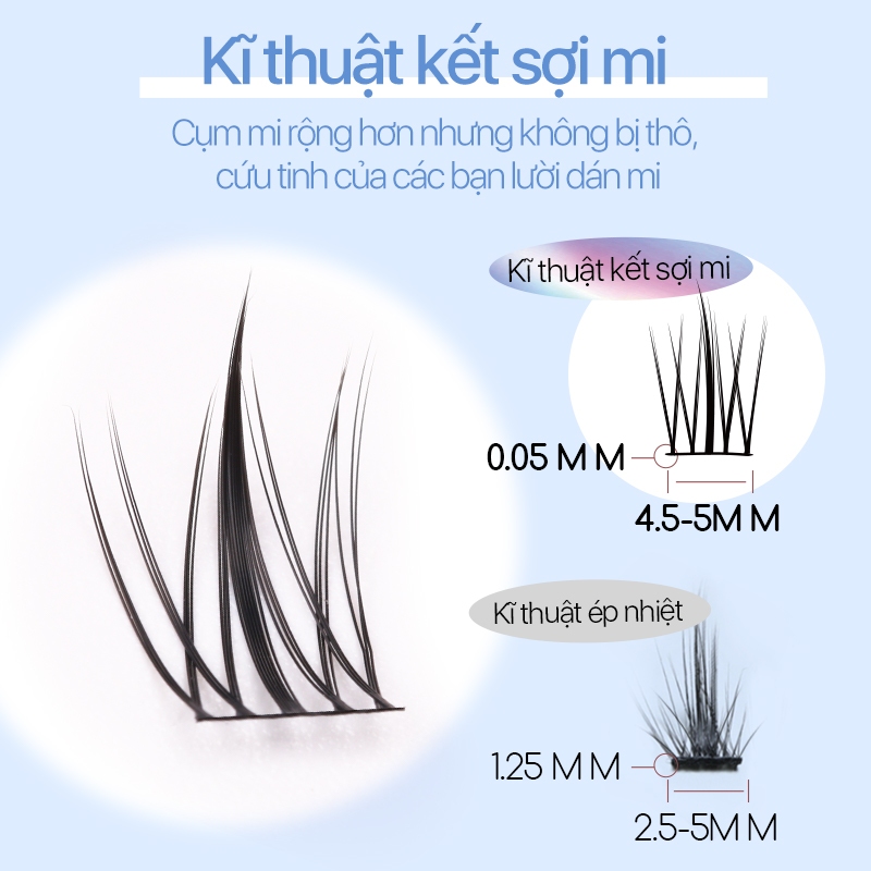 Mi cụm hoa hướng dương bản Trung Mlen Diary