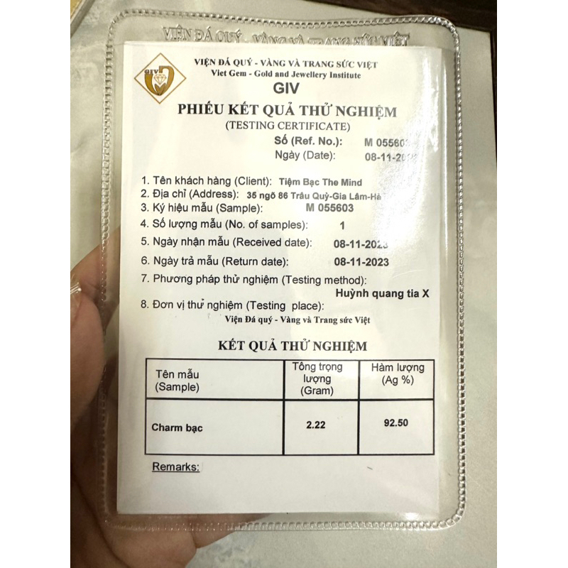 Mặt dây chuyền, charm mix lắc tay s925 The Mind