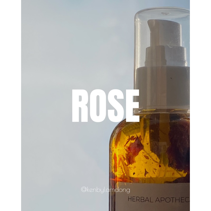 Dầu ngâm hoa hồng săn chắc, se khít lỗ chân lông ROSE INFUSED OIL