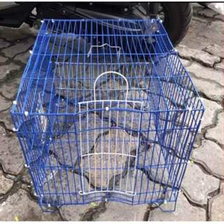 Lồng tắm chim lớn 30x34x40 dành cho chích choè, chào mào, các dòng chim lớn