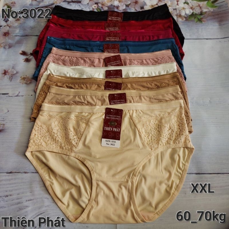 Quần lót thun lạnh bigsize cạp cao phối ren cao cấp THIÊN PHÁT bigsize 60_70kg 5 quần