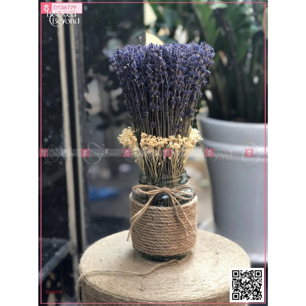 Bó hoa oải hương khô La vender Pháp làm quà tặng trang trí decor hcom636
