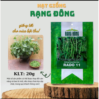 Hạt giống đậu cove bụi lùn