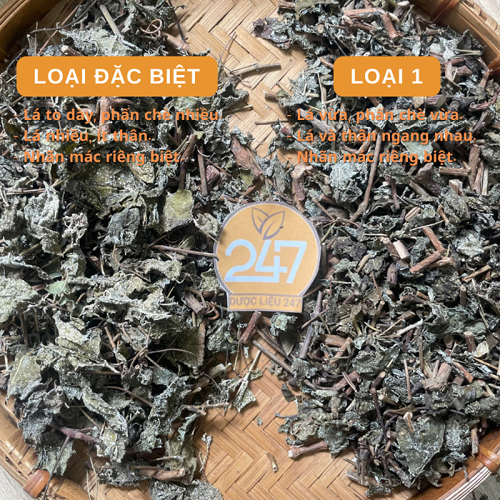 500g, 1kg Chè Dây Cao Bằng  - Hỗ Trợ Bệnh Dạ Dày, Đau Dạ Dày, Trào Ngược Dạ Dày, Khuẩn Hp