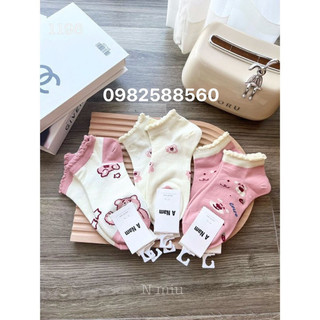Set 5 đôi tất gấu