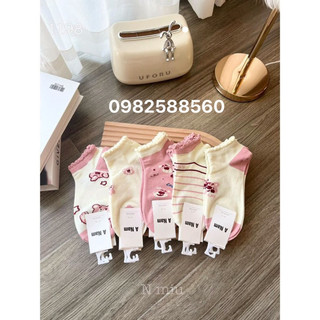 Set 5 đôi tất gấu