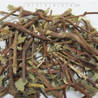 1Kg Cây hà thủ ô