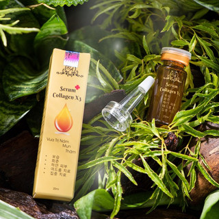 Serum dưỡng collagen x3