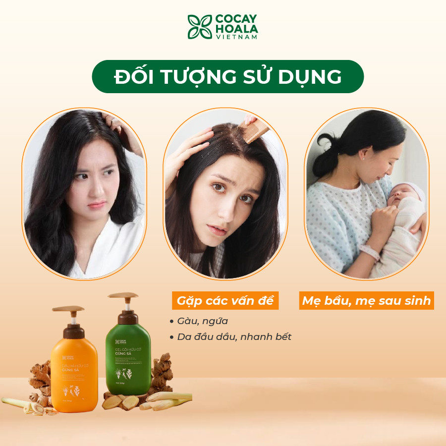 Dầu Gội Xả Hữu Cơ Gừng Sả Cỏ Cây Hoa Lá - Ngăn dầu bết tóc và giảm gàu ngứa Dung Tích 500g