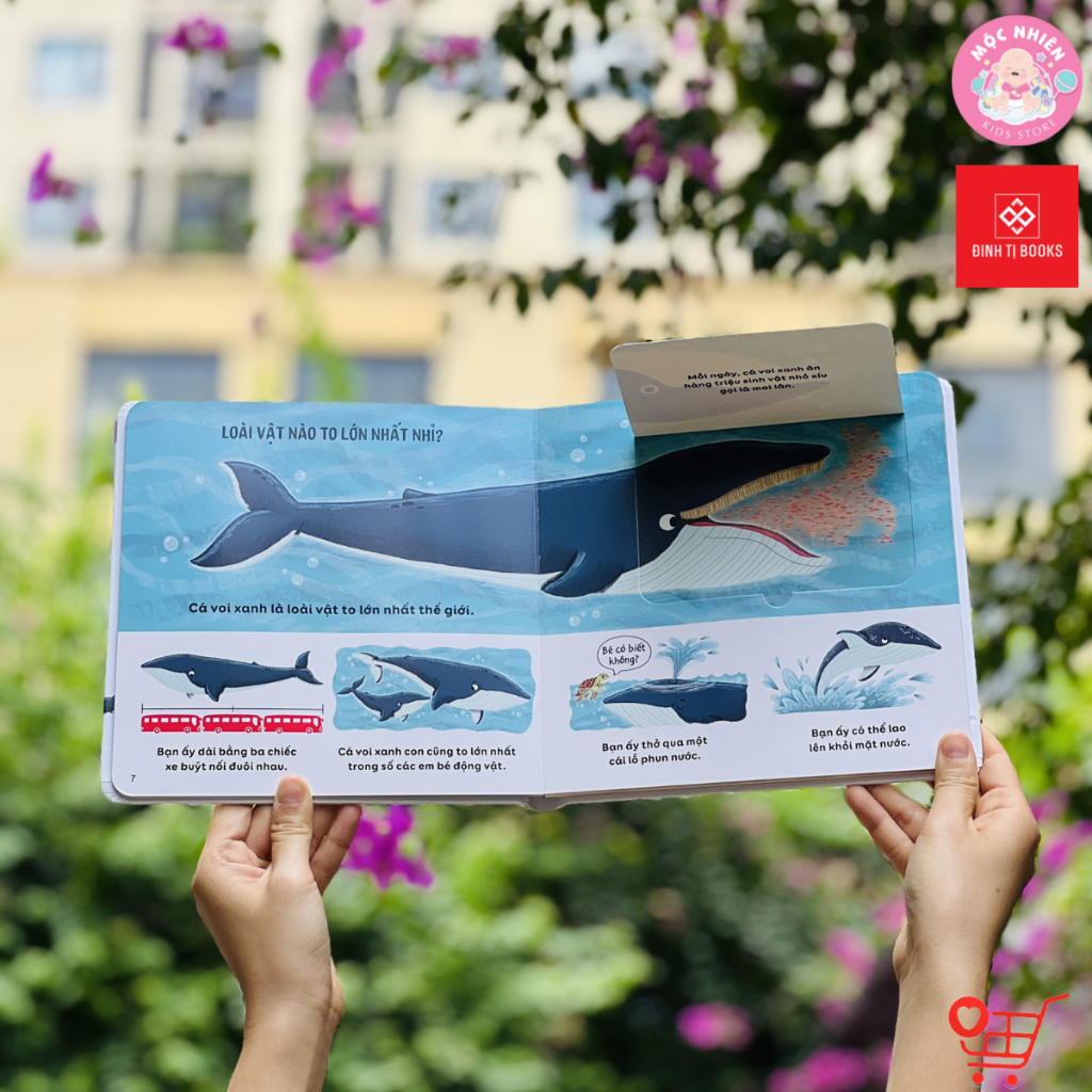 Sách Tương Tác Lật Mở Khám Phá - Lift The Flap  - Đinh Tị Books