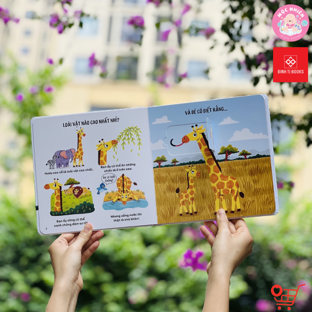 Sách Tương Tác Lật Mở Khám Phá - Lift The Flap  - Đinh Tị Books