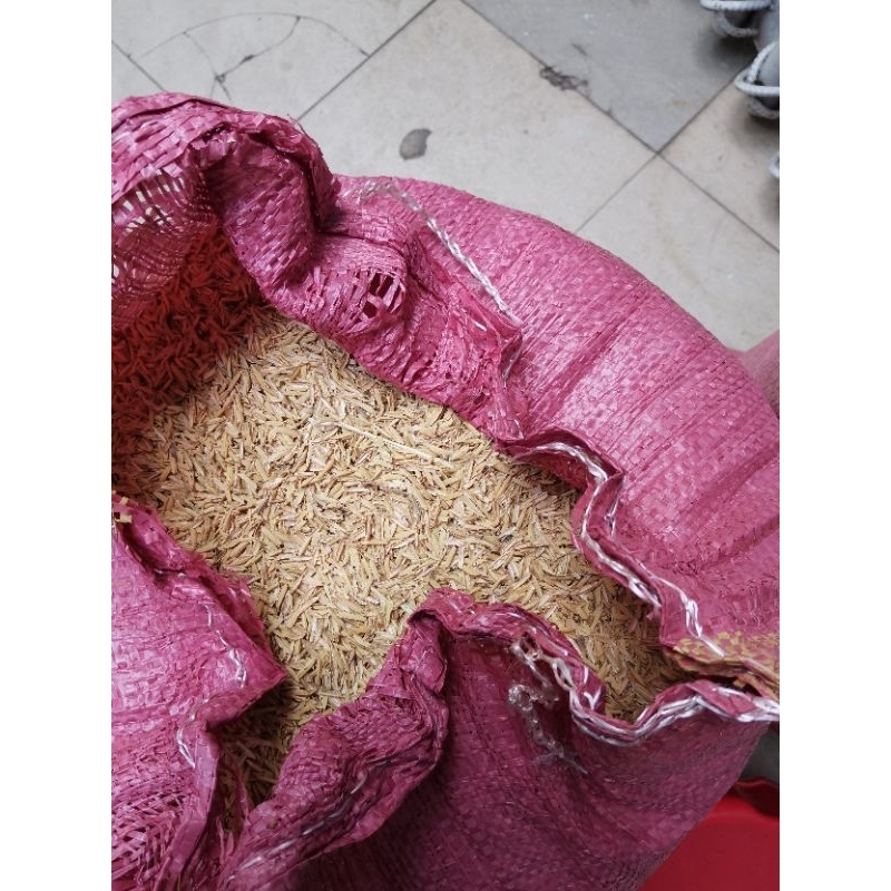 VỎ TRẤU TƯƠI BAO LỚN TIẾT KIỆM