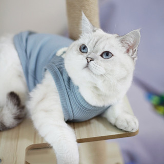 áo ba lỗ cho chó mèo hàn quốc
