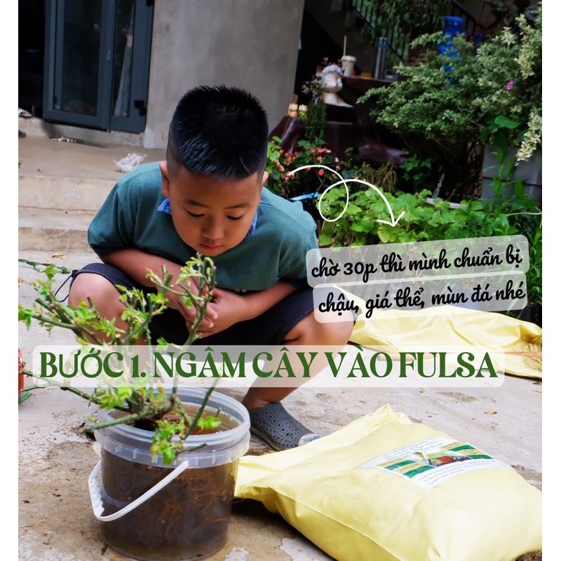 HỒNG TREE POOH GARDENING