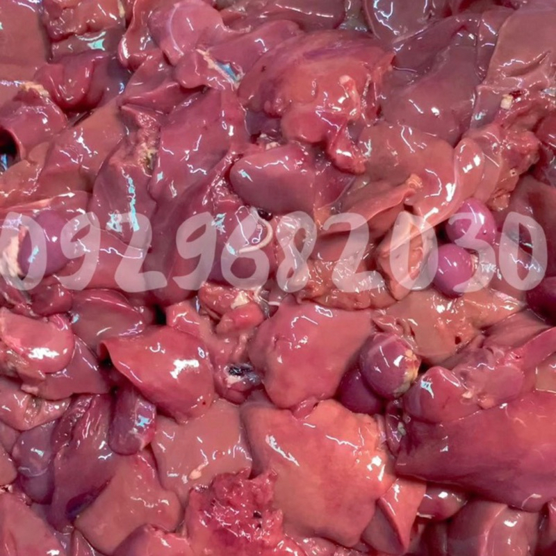 Gan gà làm sạch 1kg - nấu pate - thức ăn cho mèo - thức ăn cho chó - pate mèo - mèo - mùng-mùn heo-gà xay