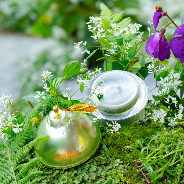 CAO BƯỞI SIZE LỚN SON NGUYỄN TIÊN CHÍNH HÃNG