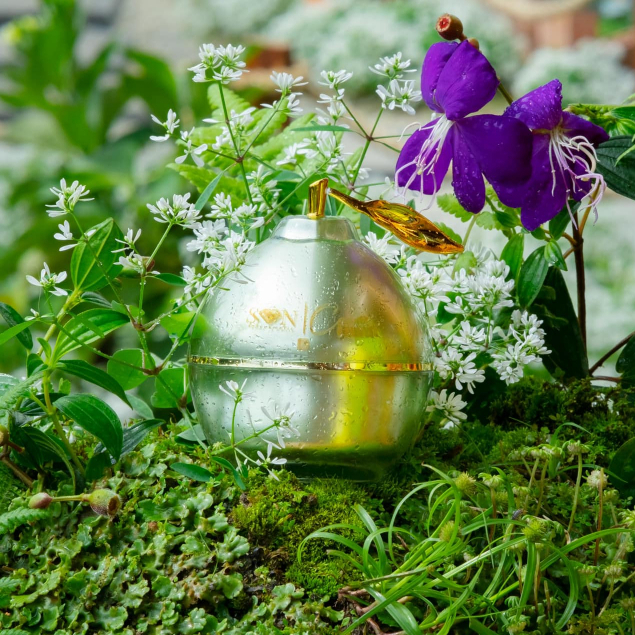 CAO BƯỞI SIZE LỚN SON NGUYỄN TIÊN CHÍNH HÃNG