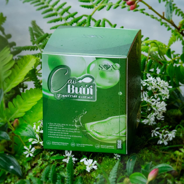 CAO BƯỞI SIZE LỚN SON NGUYỄN TIÊN CHÍNH HÃNG