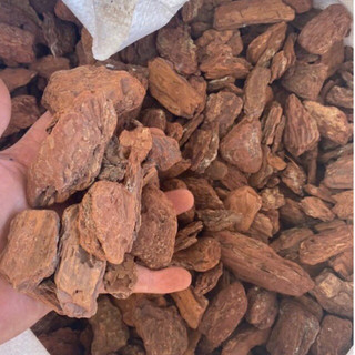 2kg Vỏ Thông Trồng Lan đã qua xử lý