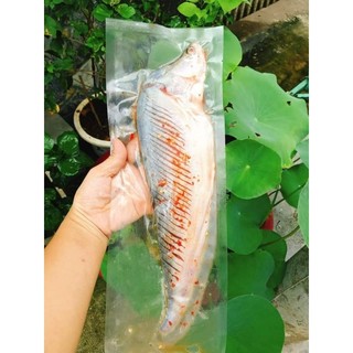Cá thác lác rút xương (1kg)