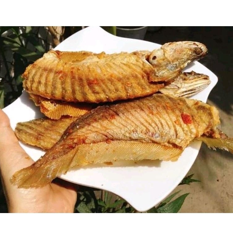 Cá thác lác rút xương (1kg)