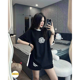SÉT BỘ SHORT NỮ THUN COTTON CAO CẤP