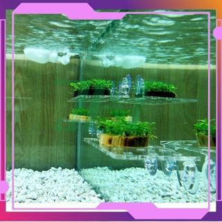 [MUA 10 TẶNG 1] Kệ Để Giá Thể Thủy Sinh, San Hô An Toàn, Chất Lượng, Tiện Lợi, Loại Hít Kính, Tặng 2 Hít Kính