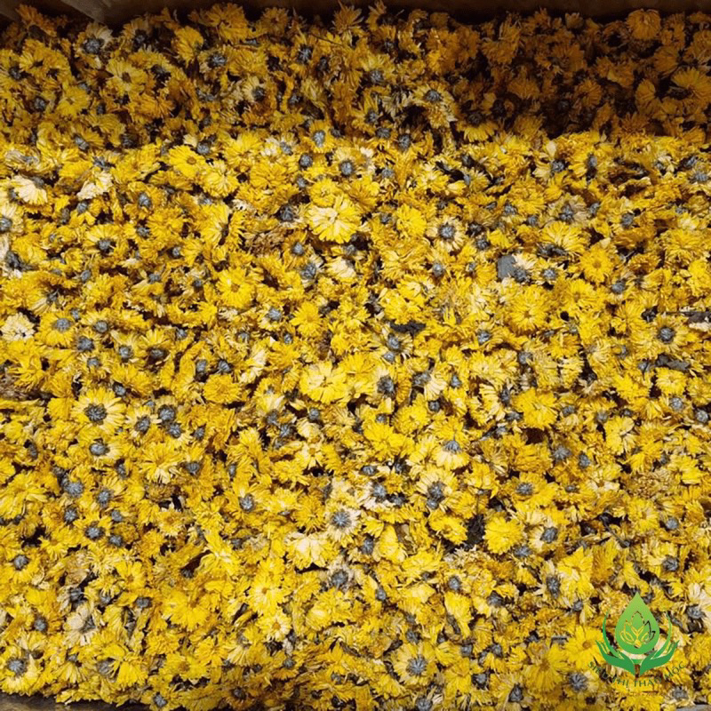 100gr Trà Hoa Cúc Vàng Sấy Khô  Nguyên Bông Tự Nhiên