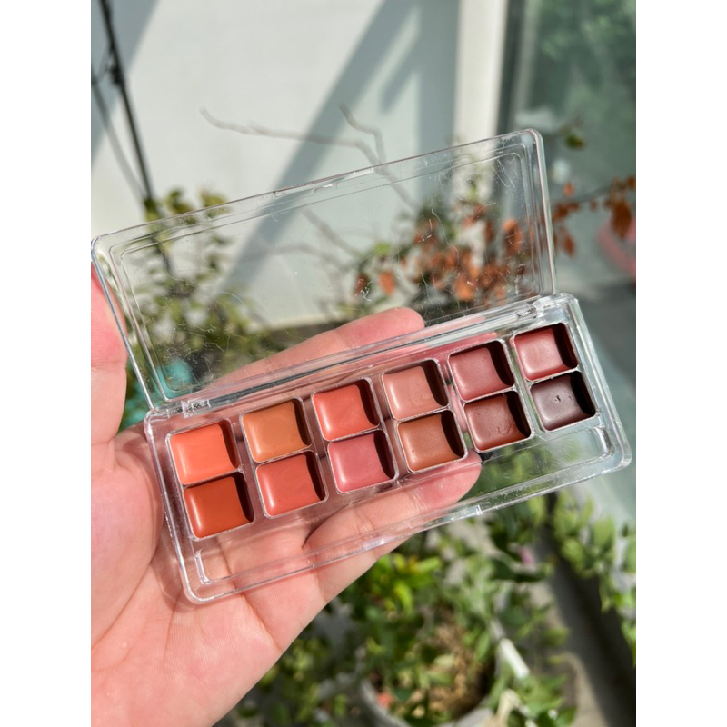 Bảng son chuyên nghiệp DM Danessa Myricks chiết