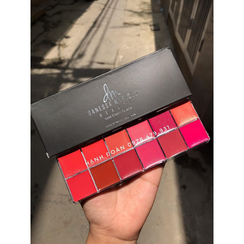 Bảng son chuyên nghiệp DM Danessa Myricks chiết