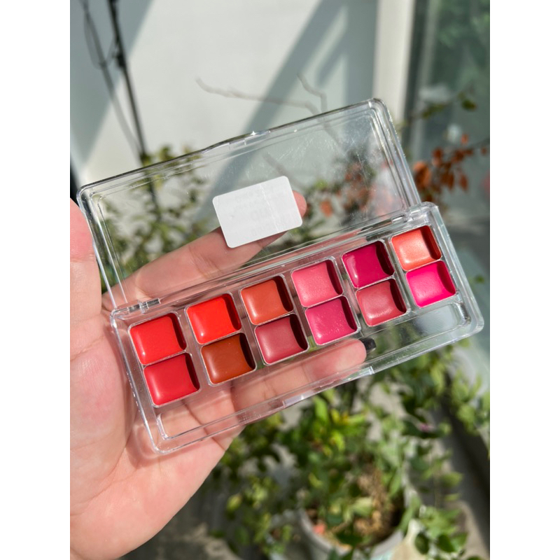 Bảng son chuyên nghiệp DM Danessa Myricks chiết