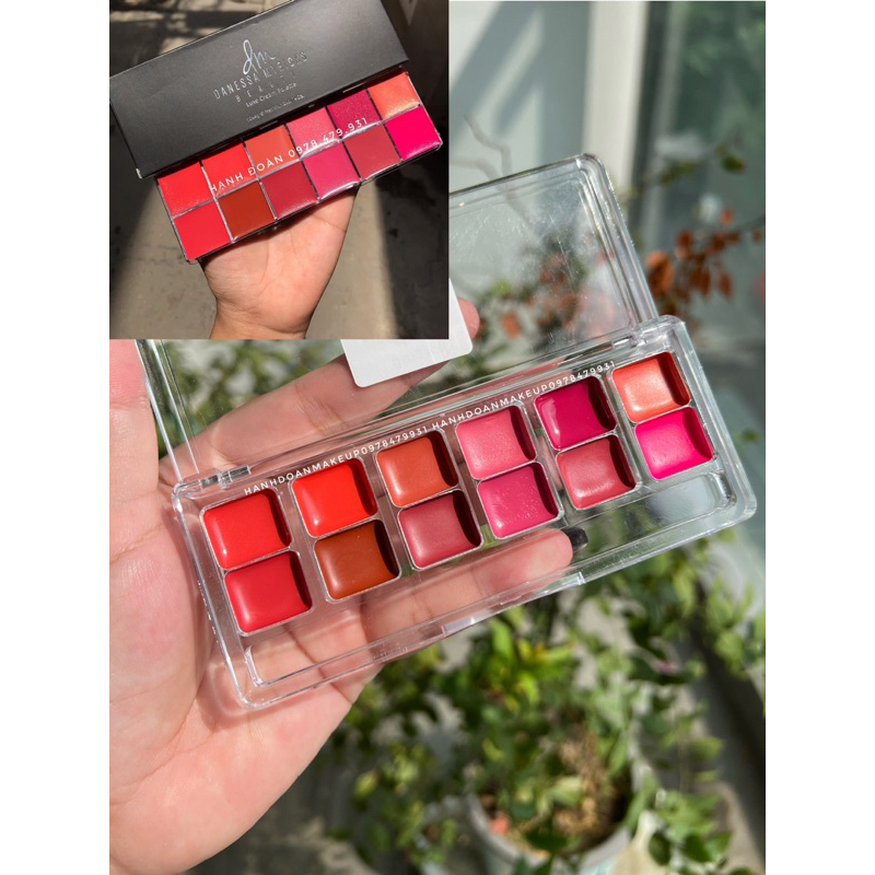 Bảng son chuyên nghiệp DM Danessa Myricks chiết