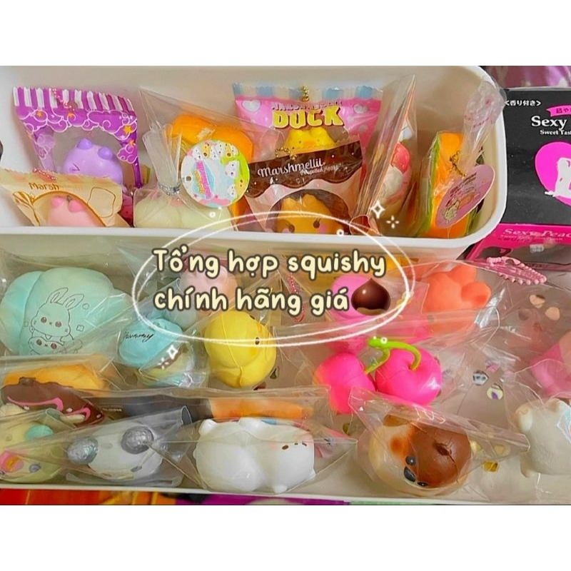 Squishy Chính Hãng🧀✨️