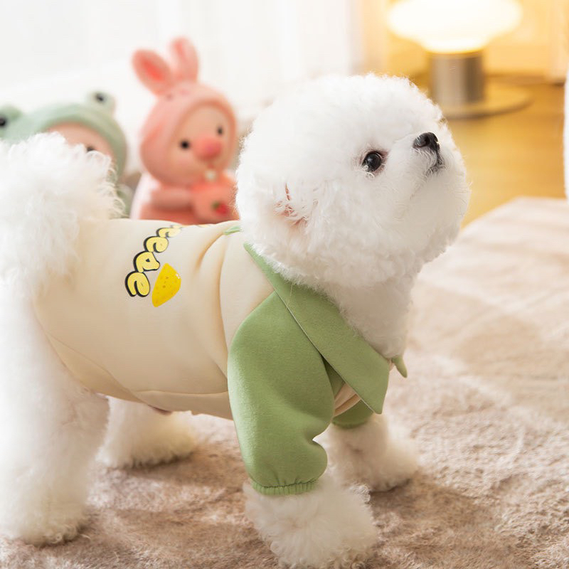 Áo phông Cheese cho thú cưng