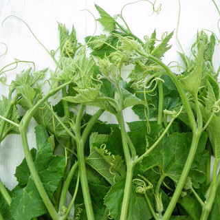 Hạt giống Bí Siêu Ngọn 5gram ( ~ 25-30 hạt)