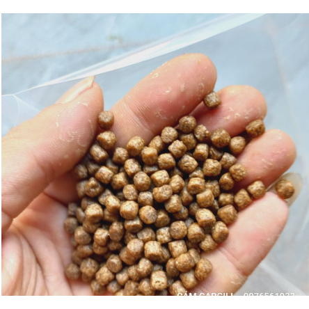 Mồi câu cá Cargill  CÁM CÁ 25%-30 %  câu đài câu tay chuyên câu cá chép cá trắm diếc siêu nhạy chất lượng