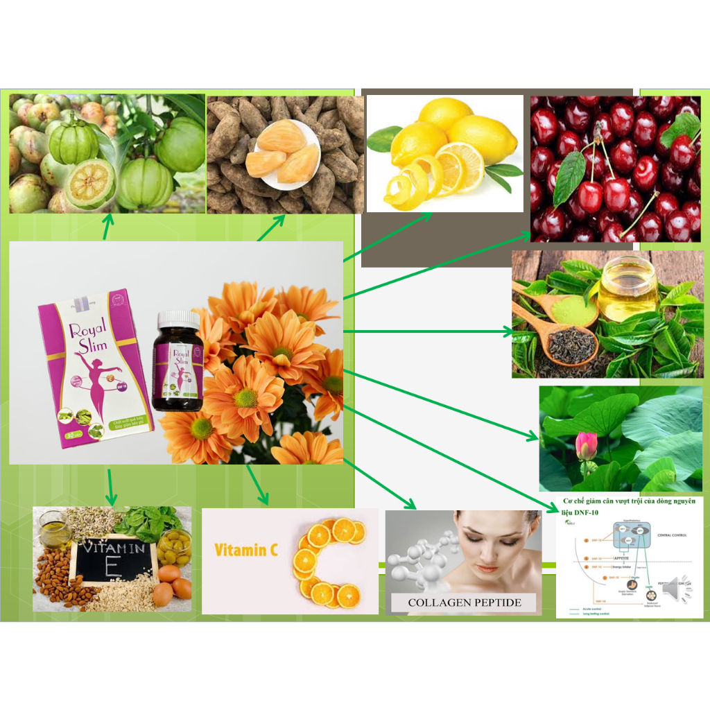 Royal Slim - Royal detox