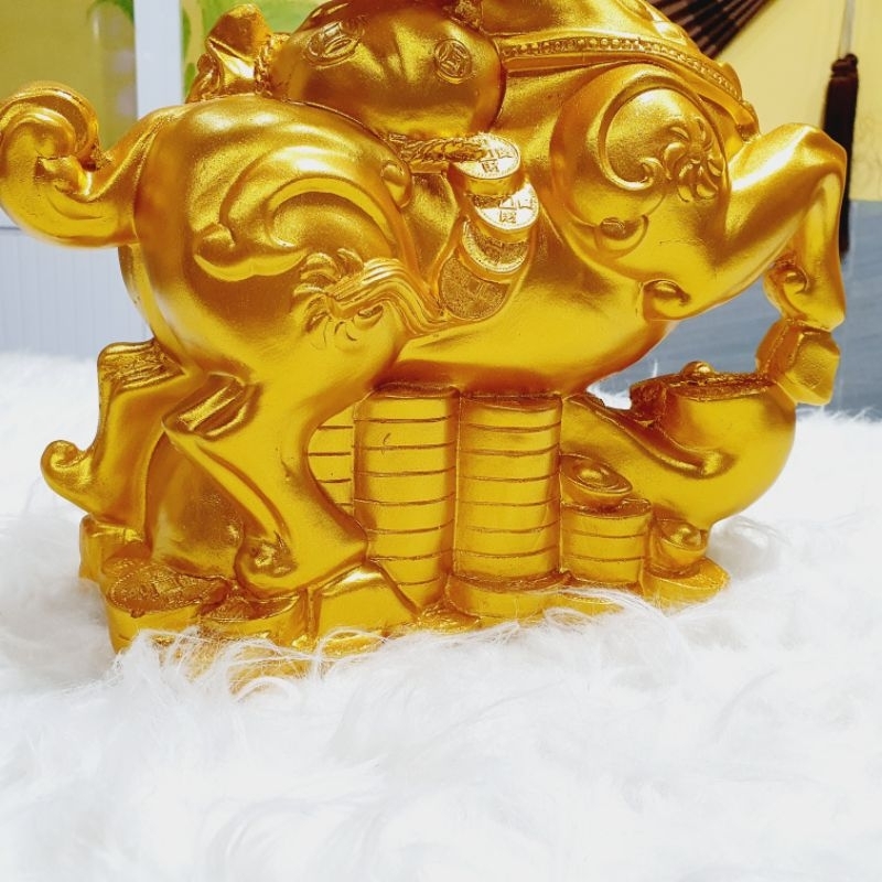 Dê vàng tiết kiệm kích thước to