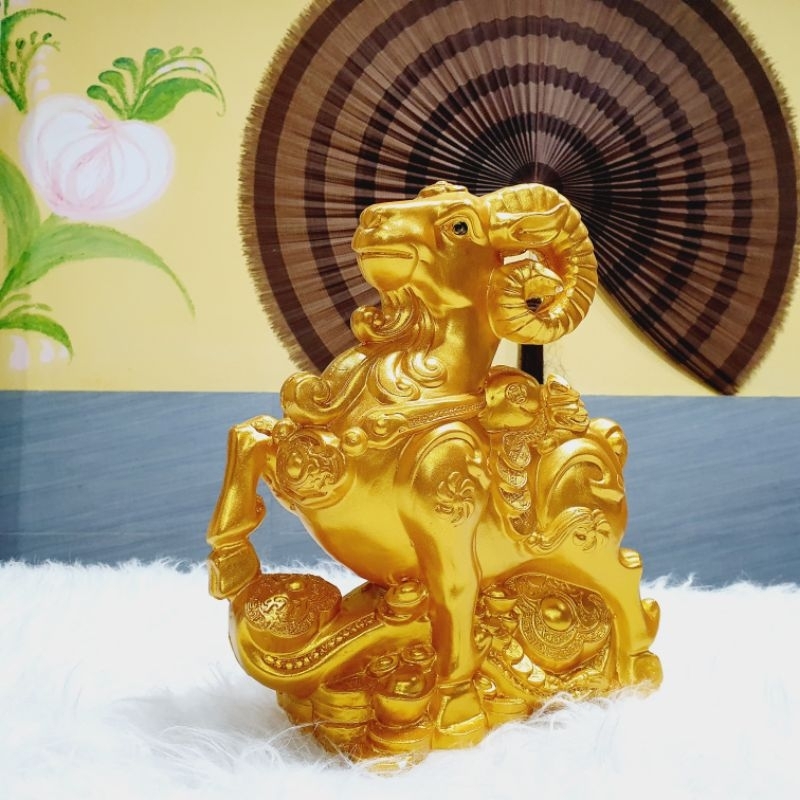 Dê vàng tiết kiệm kích thước to